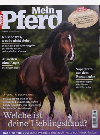 Mein Pferd