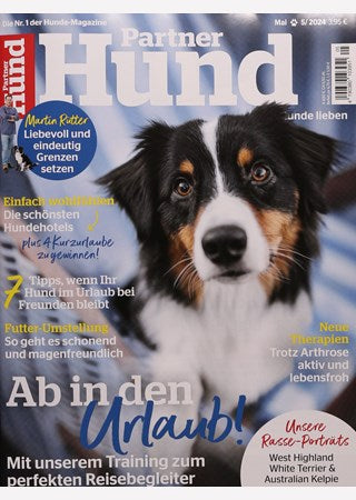 Partner Hund