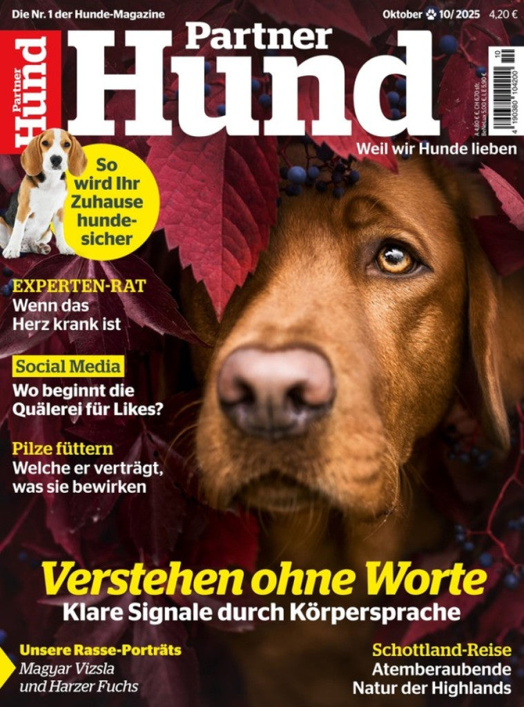 Partner Hund